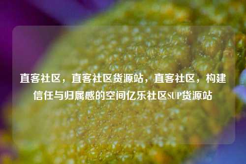 直客社区	，直客社区货源站，直客社区，构建信任与归属感的空间亿乐社区SUP货源站  第1张